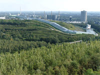 Bottrop-Dieter-Sch�tz