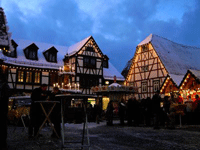 Hamm-Manfred_pixelio